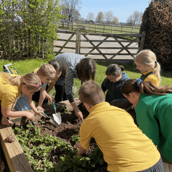 Schoolchildren gardening with trowels